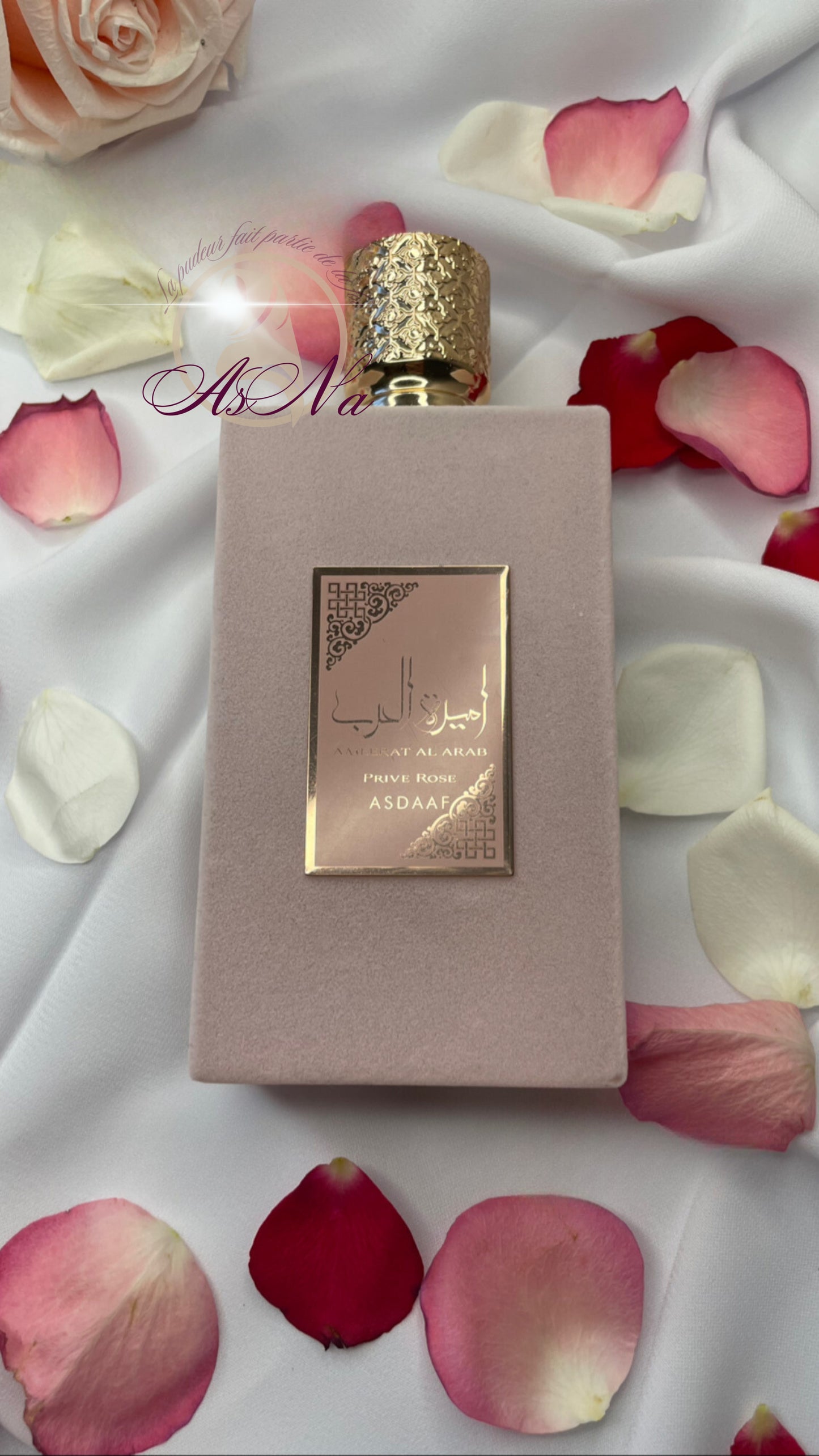 Ameerat Al Arab Privé Rose de ASDAAF