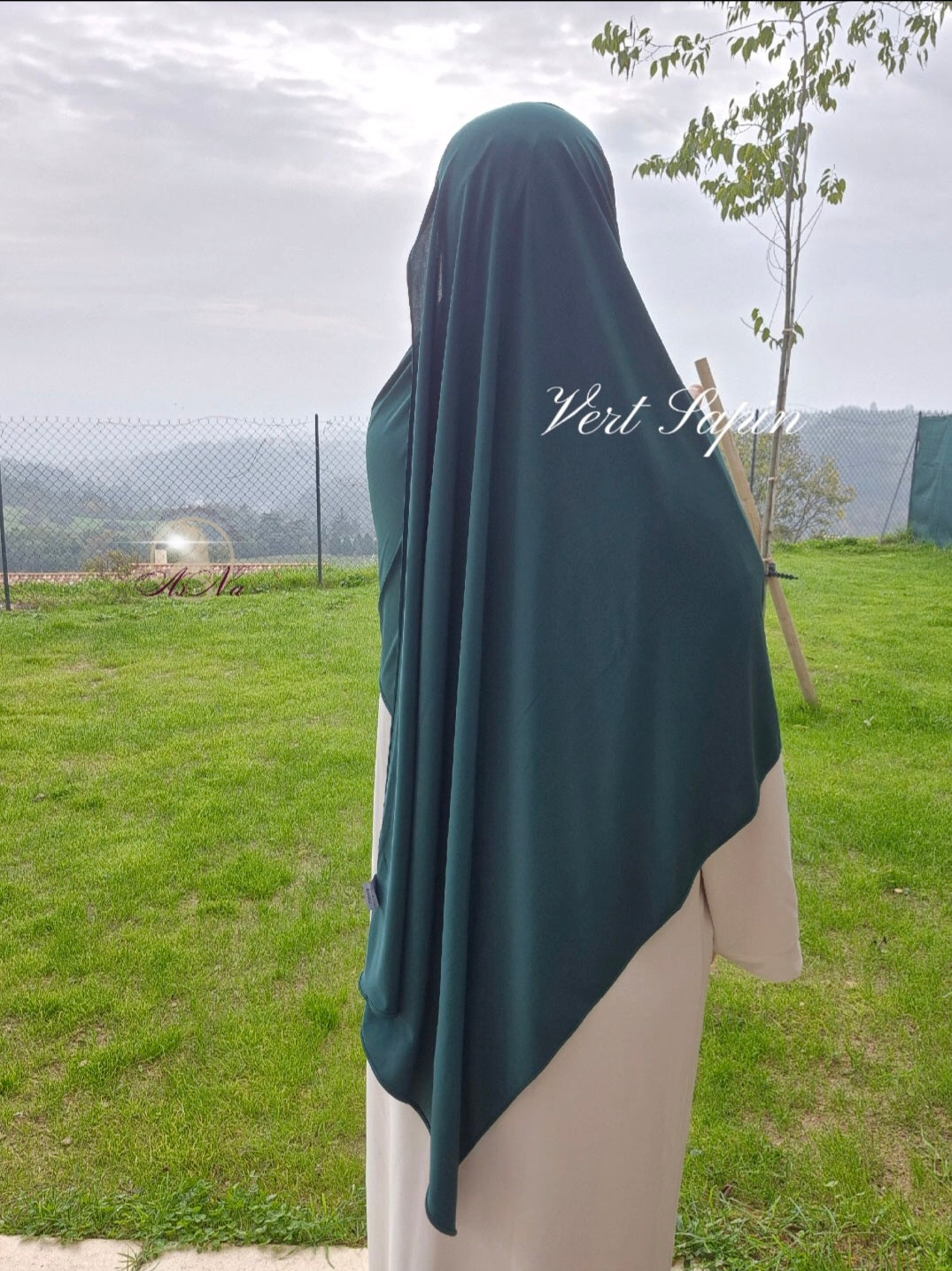 Jersey premium Sedef Vert Sapin